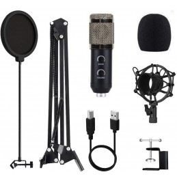 2021 Upgraded USB Condenser Microphone for Computer, Great for Gaming, Podcast, LiveStreaming, YouTube Recording, Karaoke on PC, Plug &amp; Play, with Adjustable Metal Arm Stand, Ideal for Gift, Black